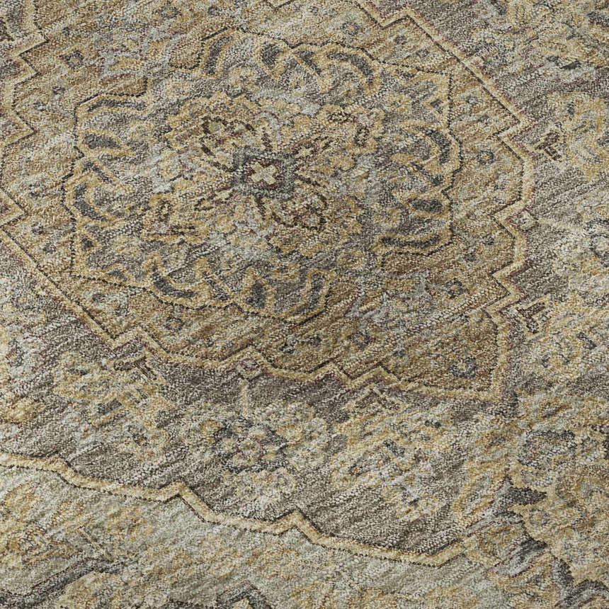 Close-up of the Dalyn Luxury Hatay HY3 Chocolate Washable Area Rug. Beige, brown, and gold traditional pattern.