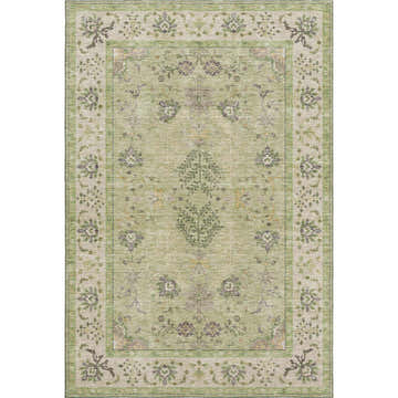 Close-up of the Dalyn Luxury Hatay HY9 Aloe Washable Area Rug. Features a traditional floral pattern in aloe, beige, and gold.