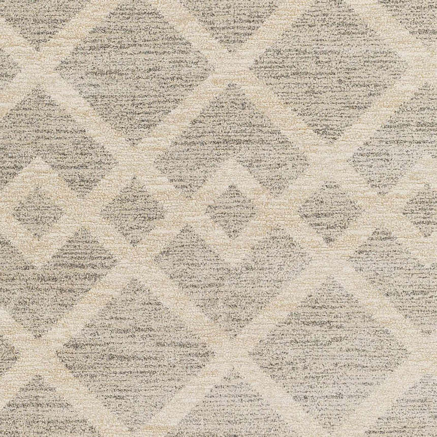Sample Joed Area Rug - Clearance