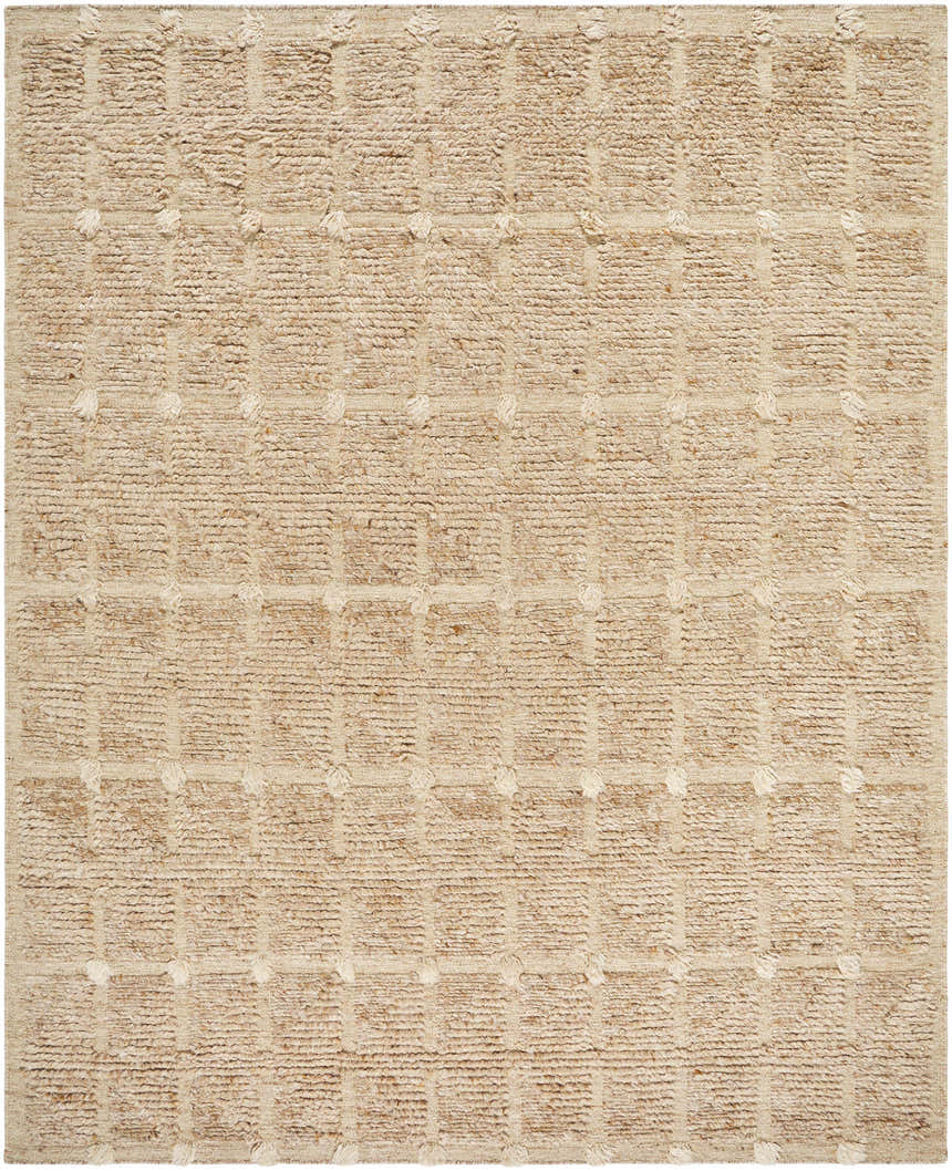 Close-up of the Keegan Area Rug. Hand-woven wool rug in beige, sandstone, and taupe with a textured, geometric pattern. Design-Rectangle-810