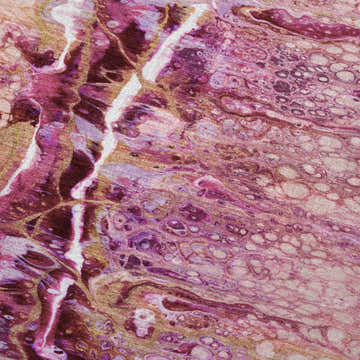 Close-up of Dalyn Machine Kikiamo KK16 Flamingo rug, showing chestnut, fuchsia, pink, and purple abstract pattern.