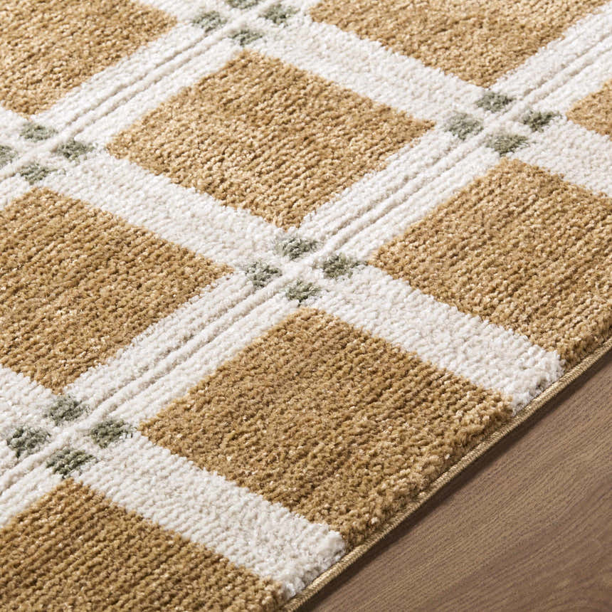Close-up of Kalkin Light Brown Area Rug featuring a caramel, ivory, and sage geometric pattern. Texture