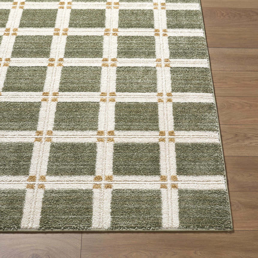 Close up of Kalkin Olive Area Rug featuring a green and white grid pattern on a wood floor. Front
