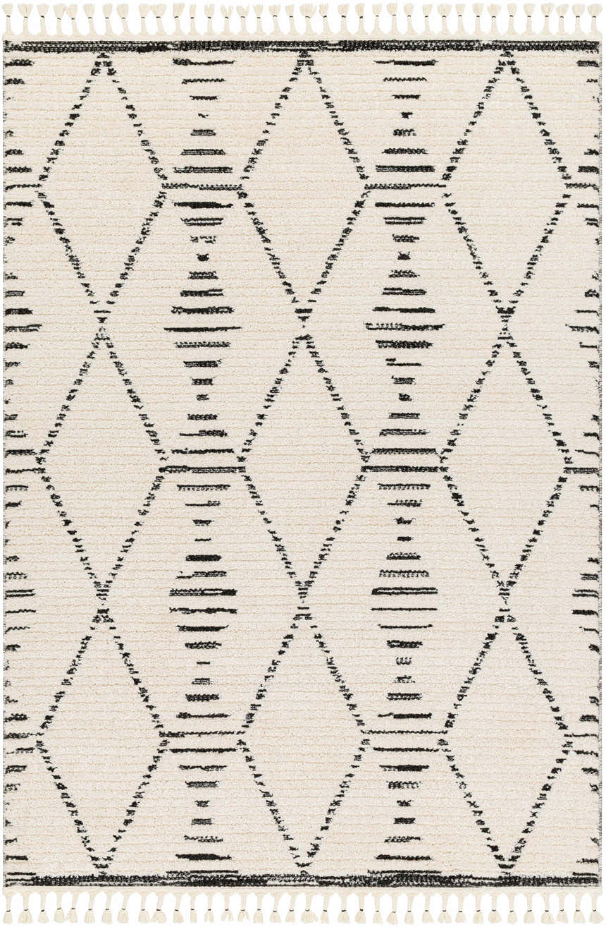 Sample Allan Area Rug - Clearance