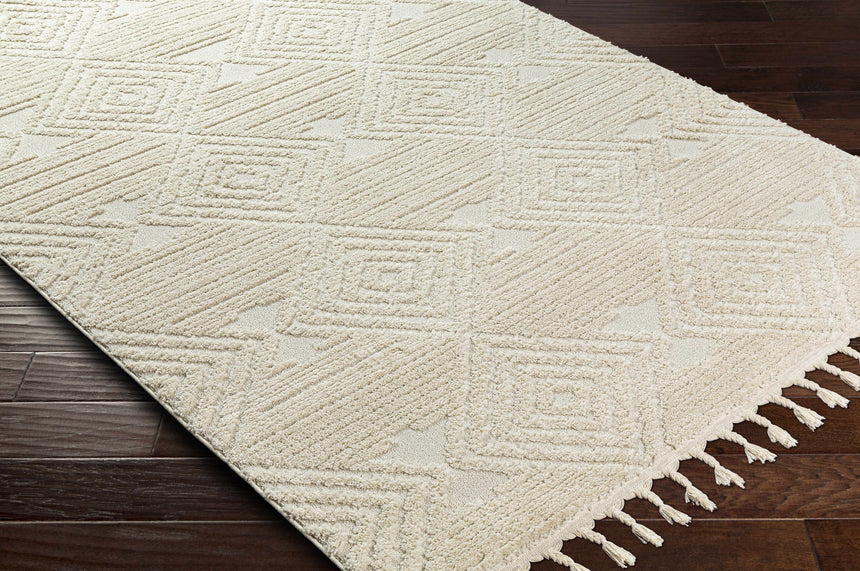 Manyas 3D Bone Area Rug with Tassels
