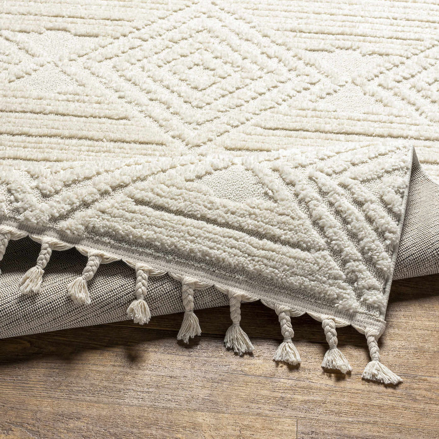 Manyas 3D Bone Area Rug with Tassels