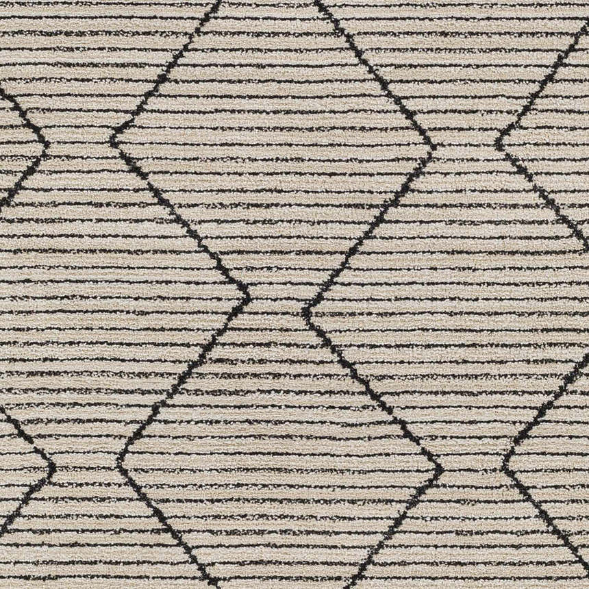 Sample Maonon Area Rug - Clearance