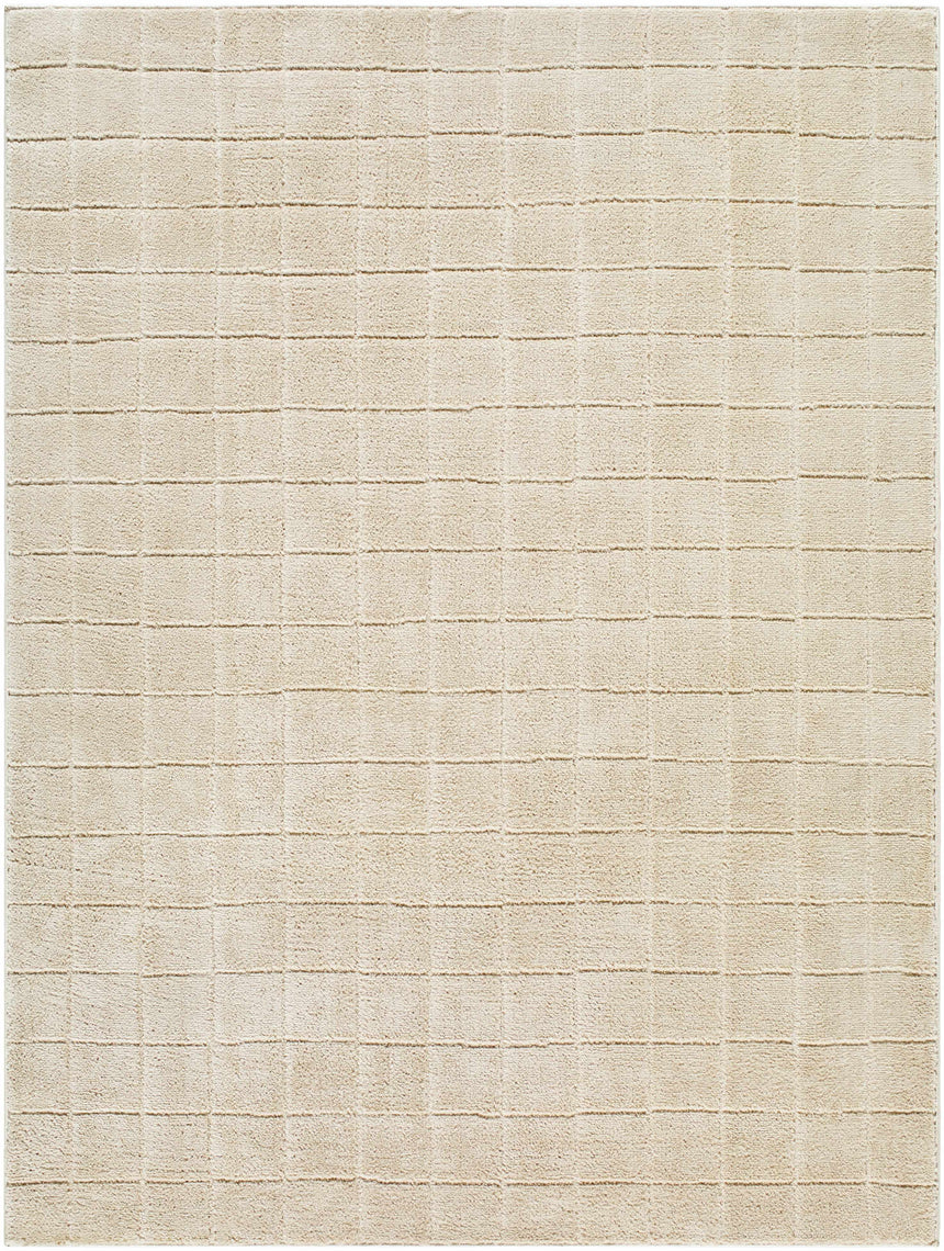 Cascade Checkered Beige Area Rug