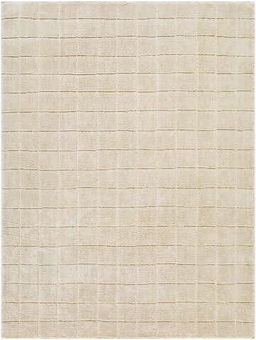 Close-up of the Cascade Machine Woven PNW Home x LIVABLISS PNWCS-2304 Area Rug. Beige polyester rug with a subtle grid pattern. Design-Rectangle-537
