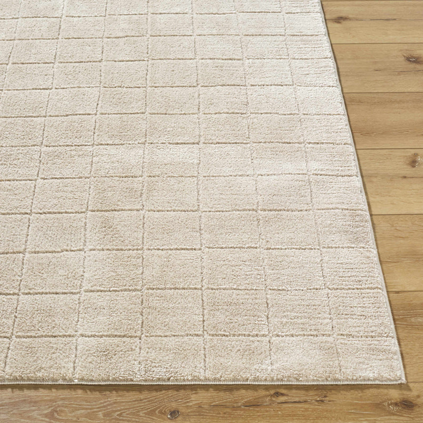 Cascade Checkered Beige Area Rug