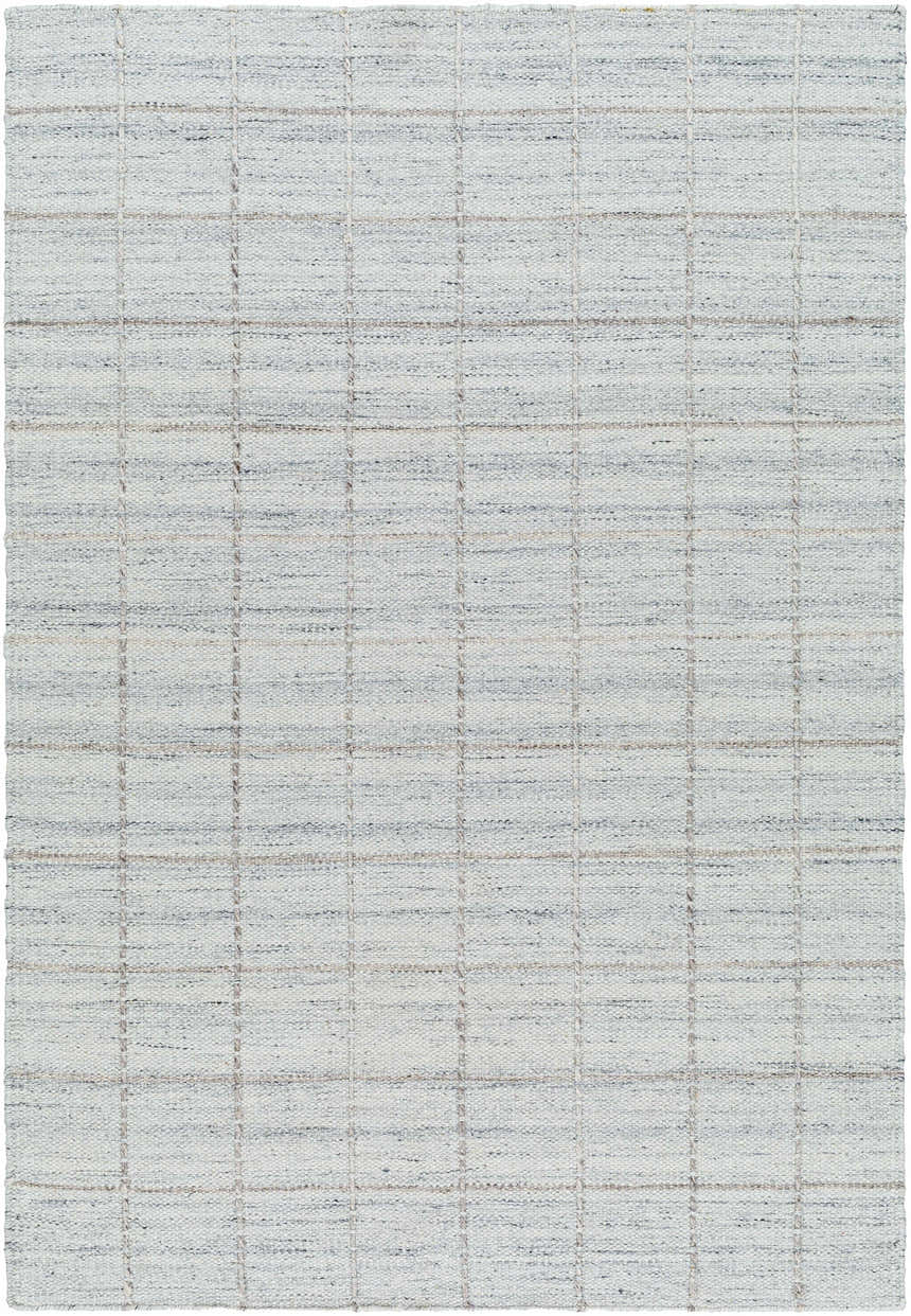 Sample Nissa Light Gray Checkered Area Rug