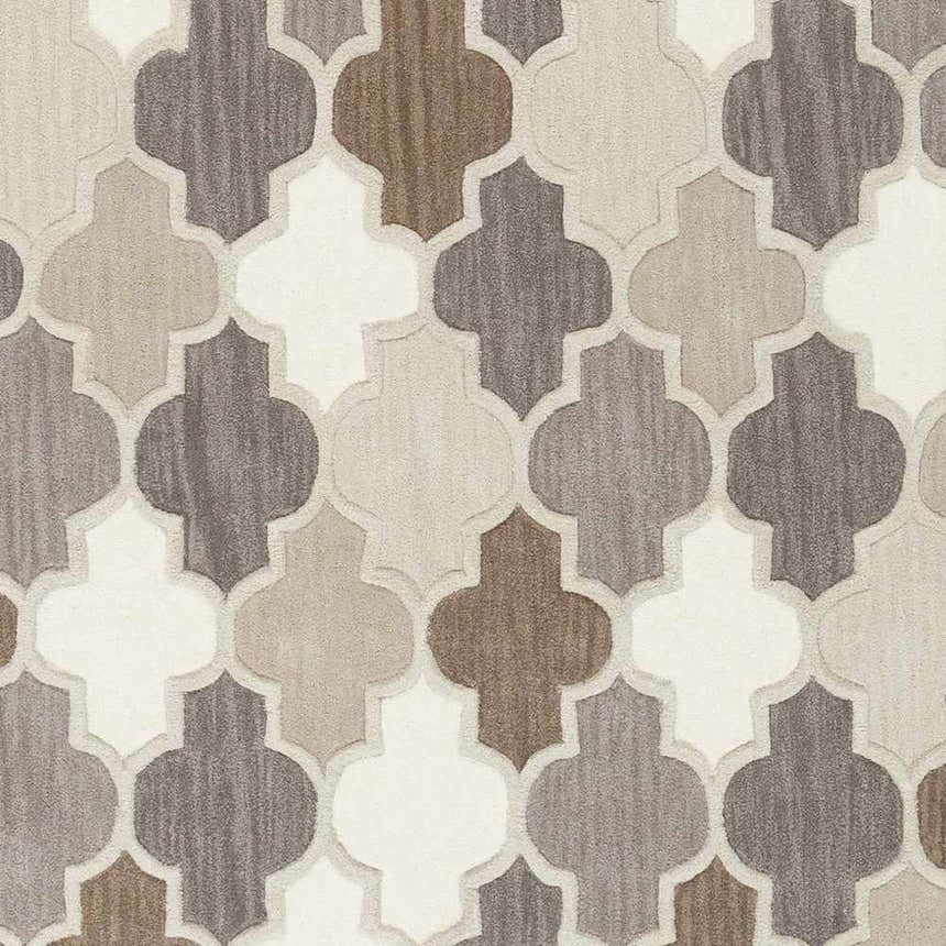 Sample Paron Area Rug - Clearance