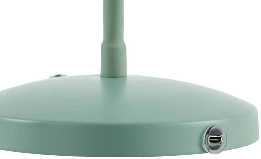 Pachiquita Sage Table Lamp