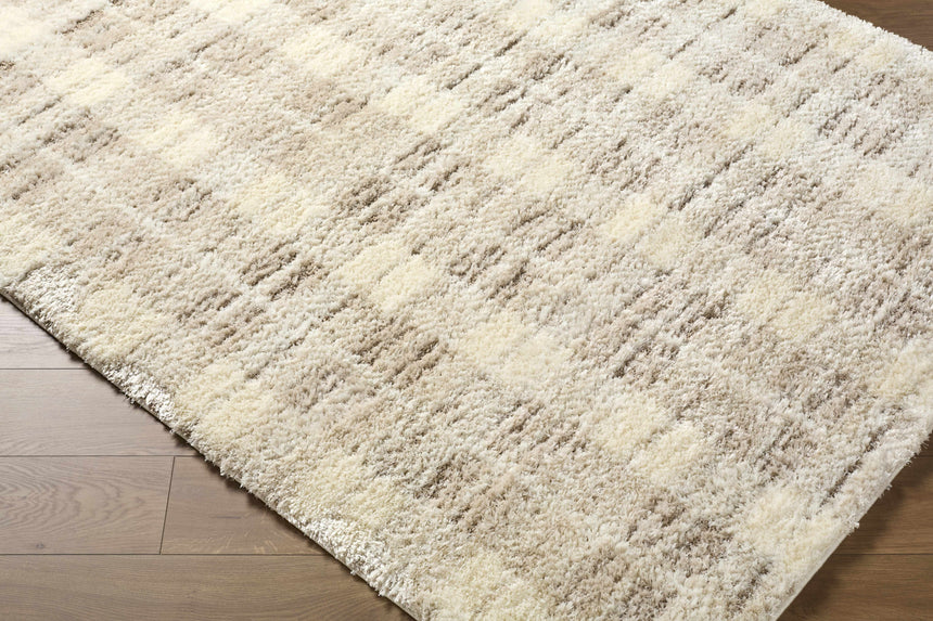 Anfisa Cream Luxe Shag Area Rug