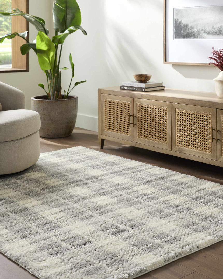 Anfisa Tan Luxe Shag Area Rug