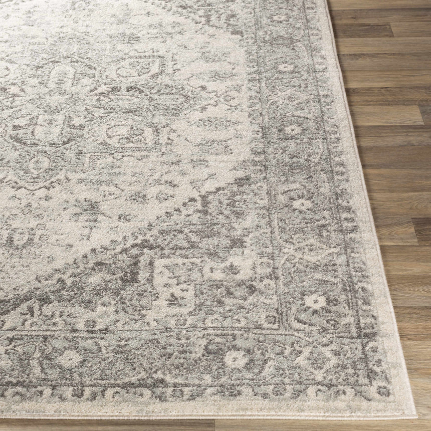 Livabliss Chester Machine Woven Surya CHE-2312 Area Rug