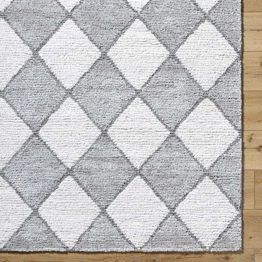 Sample Aideen Gray Shag Area Rug - Clearance