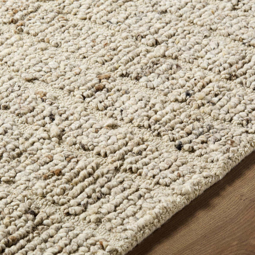 Close-up of the hand-tufted Asahel Ivory Area Rug showing its wool texture and subtle color variations. Texture