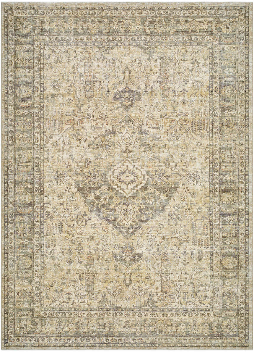 Detailed beige Becki Owens x Livabliss Renaissance Area Rug with traditional floral and geometric pattern. Design-Rectangle-811