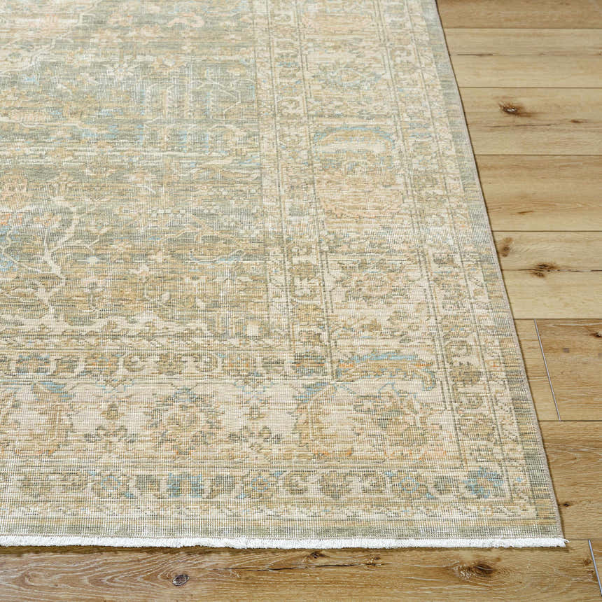 Close up of Becki Owens x Livabliss Renaissance rug. Beige, denim, and coral tones in a traditional, hand-crafted pattern. Front