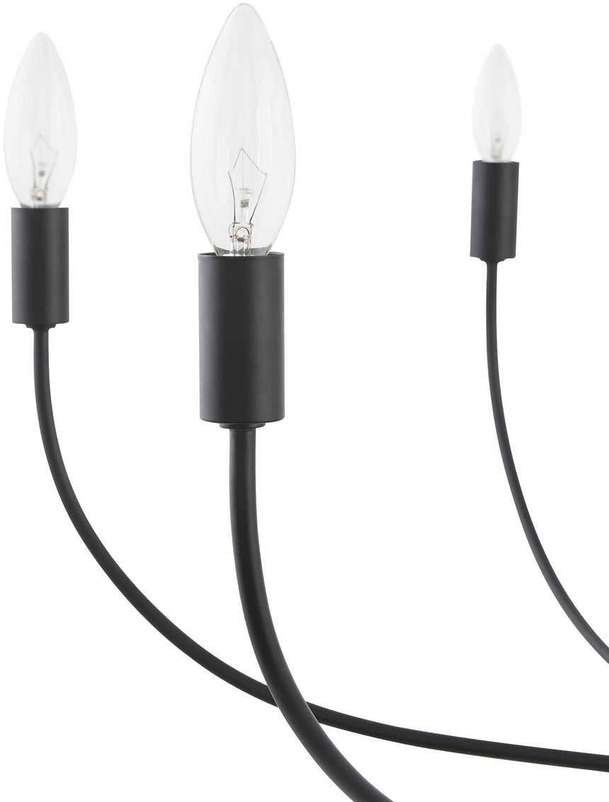 Rudziczka Black Chandelier