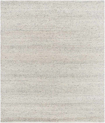 Close-up of the Salvo Luxury hand woven wool area rug. Cream and ivory natural fiber weave texture. Design-Rectangle