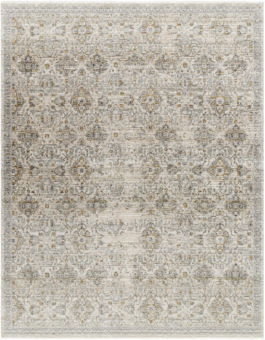 Close-up of the Ren Outdoor Becki Owens x LIVABLISS BOMG-2306 rug. Features a traditional pattern in taupe, blue, and brown tones. Design-Rectangle-71010
