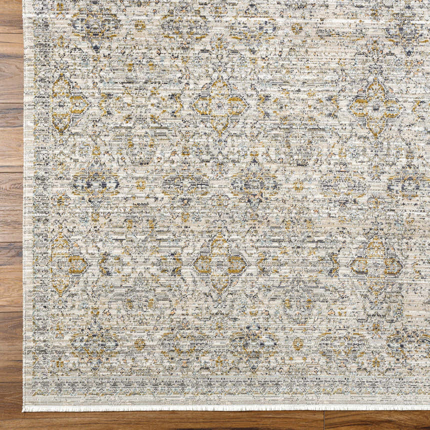Close-up of Ren Outdoor BOMG-2306 rug. Machine woven polyester rug in black, blue, brown, and taupe on a wood floor. Corner