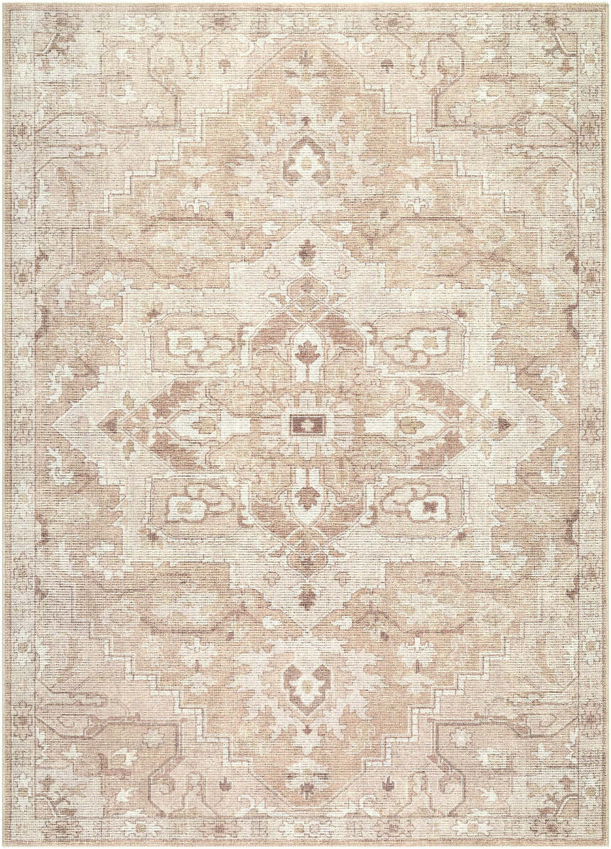 Close-up of the Esau Area Rug. Farmhouse style rug in beige, blush, ivory, sandstone, and taupe with a traditional, symmetrical pattern. Design-Rectangle-679