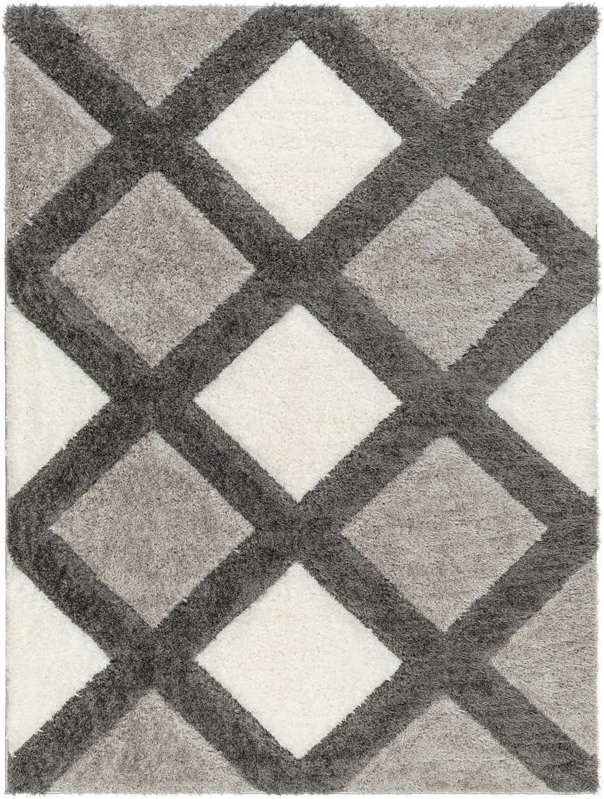 Sample Amias Gray Area Rug - Clearance