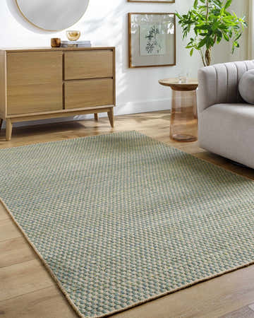 Living room with Verdel Sage Cottage Farmhouse wool rug, light wood floors, console table, and gray sofa. Roomscene-Rectangle