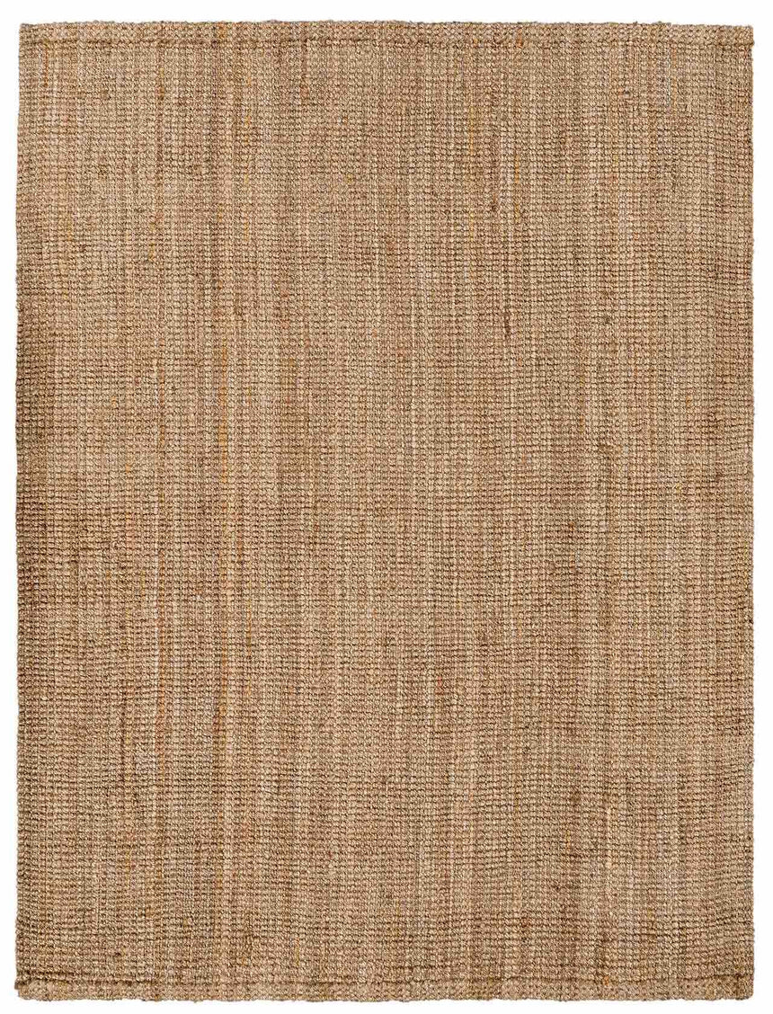 Ambel Chocolate Brown Camel Jute Area Rug