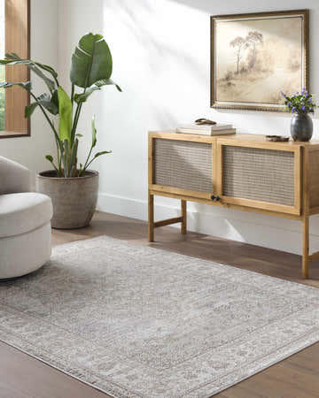 Living room scene with a beige Mazal Area Rug, light wood cabinet, potted plant, and neutral armchair. Roomscene-Rectangle