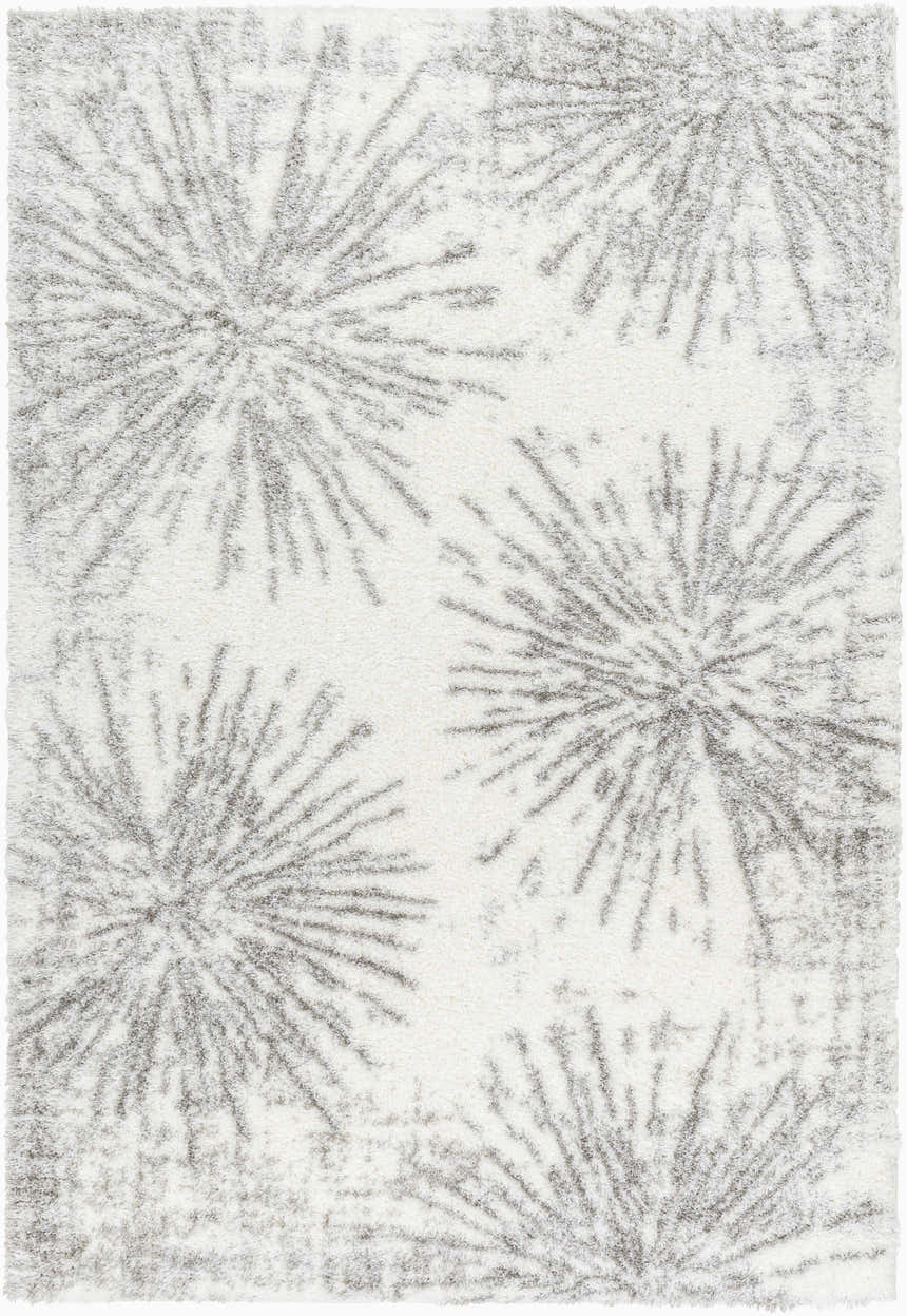 Sample Javed Area Rug - Clearance