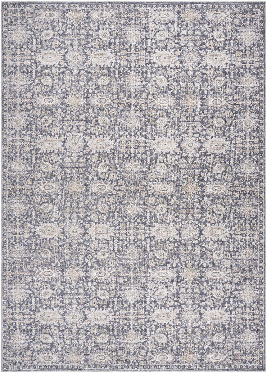 Sample Semaj Area Rug - Clearance