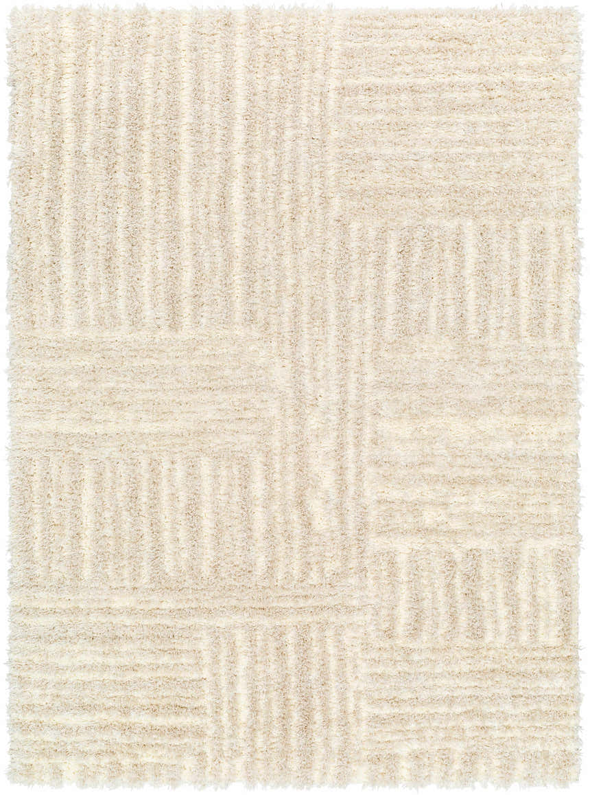 Sample Arich Beige Plush Area Rug - Clearance