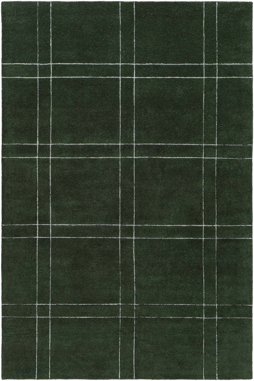 Sample Sixto Green Area Rug