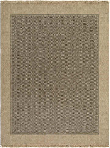 Close-up of the Endre Tan Indoor Outdoor Area Rug. Features a brown herringbone pattern with a tan border and fringe. Design-Rectangle-71010