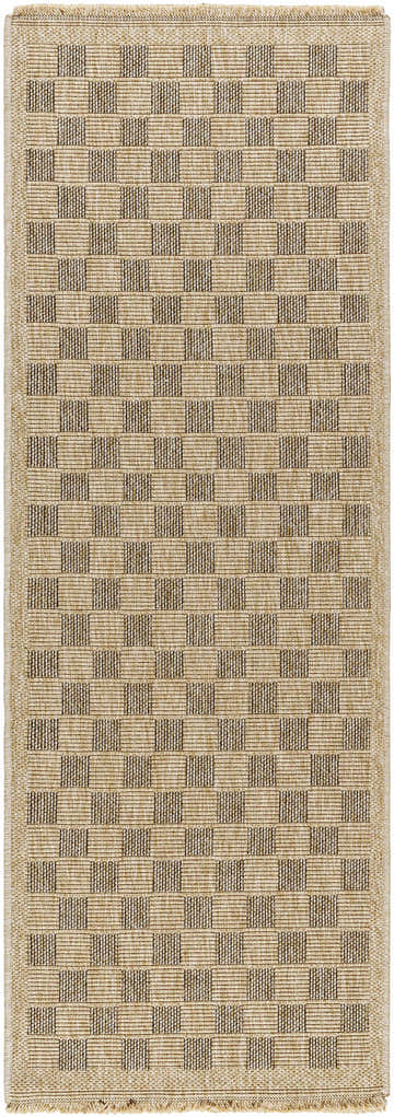 Design-Runner-2773
