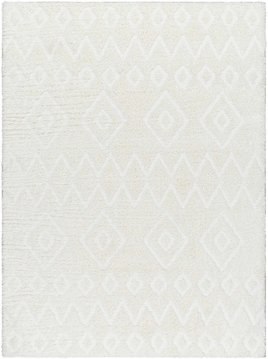 Sample Hoshi Area Rug
