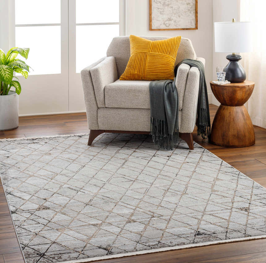 Sample Luol Light Gray Area Rug - Clearance
