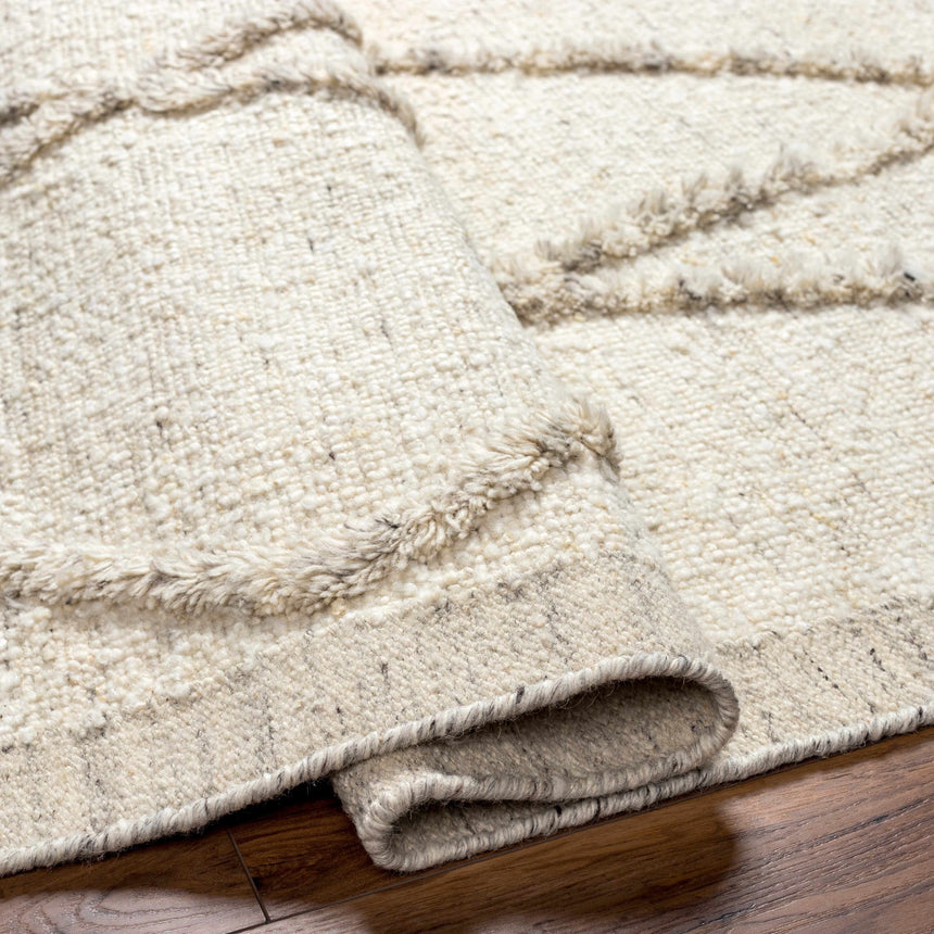 Soto Area Rug - Clearance