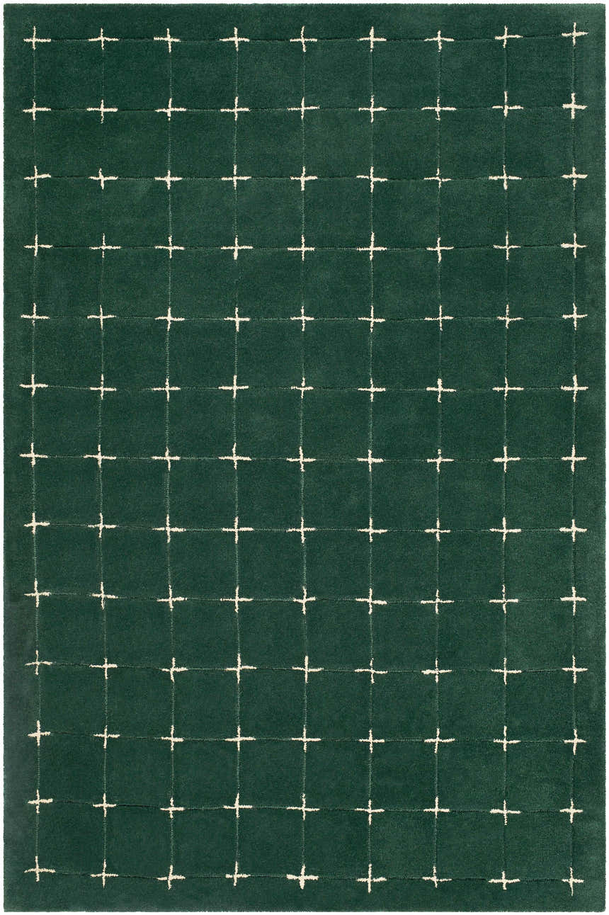 Sample Sanvi Green Tufted Hand Tufted Wool Area Rug