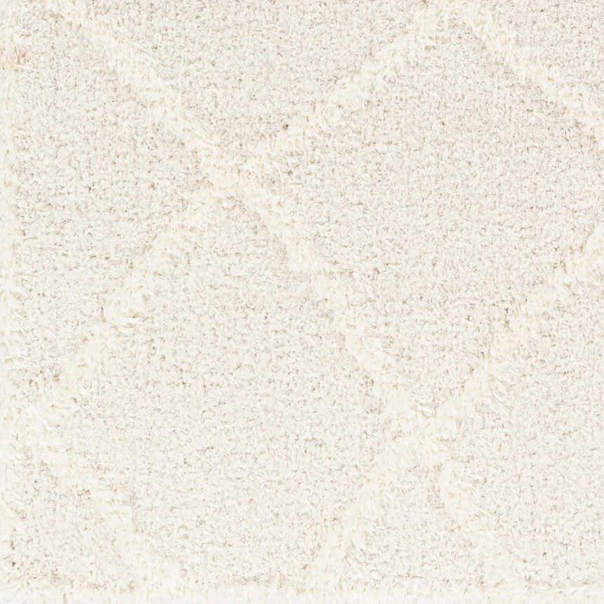 Sample Daube Area Rug - Clearance