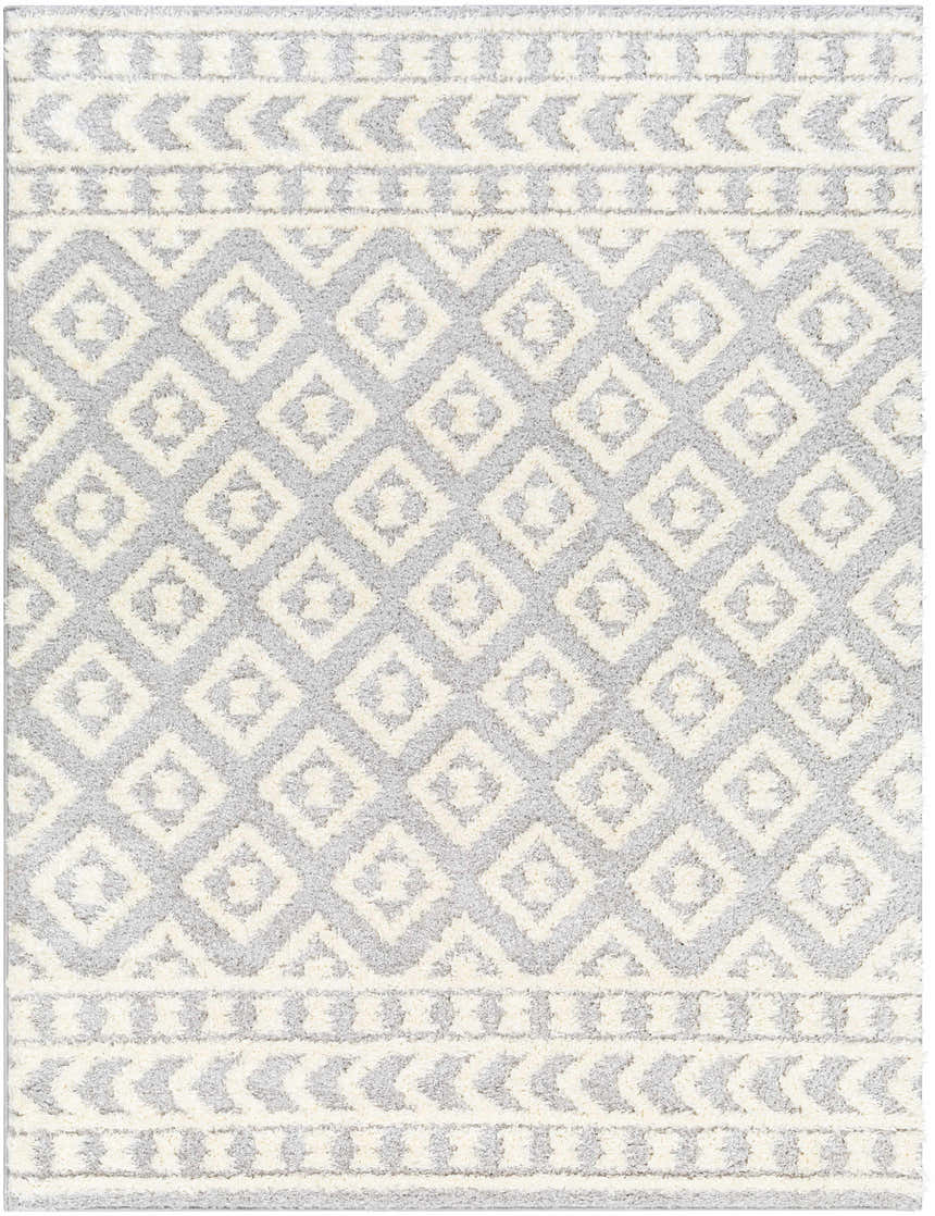 Sample Felix Gray Plush Area Rug - Clearance