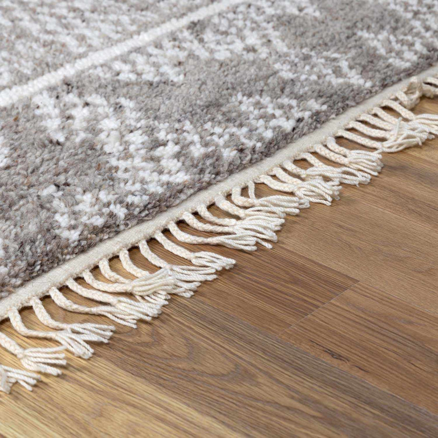 Kaveh Hand Knotted Wool Area Rug