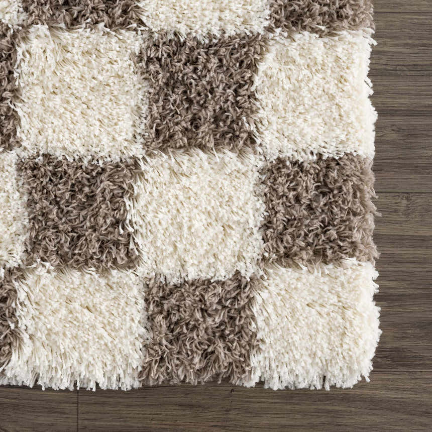 Sample Atira Brown Checkered Area Rug