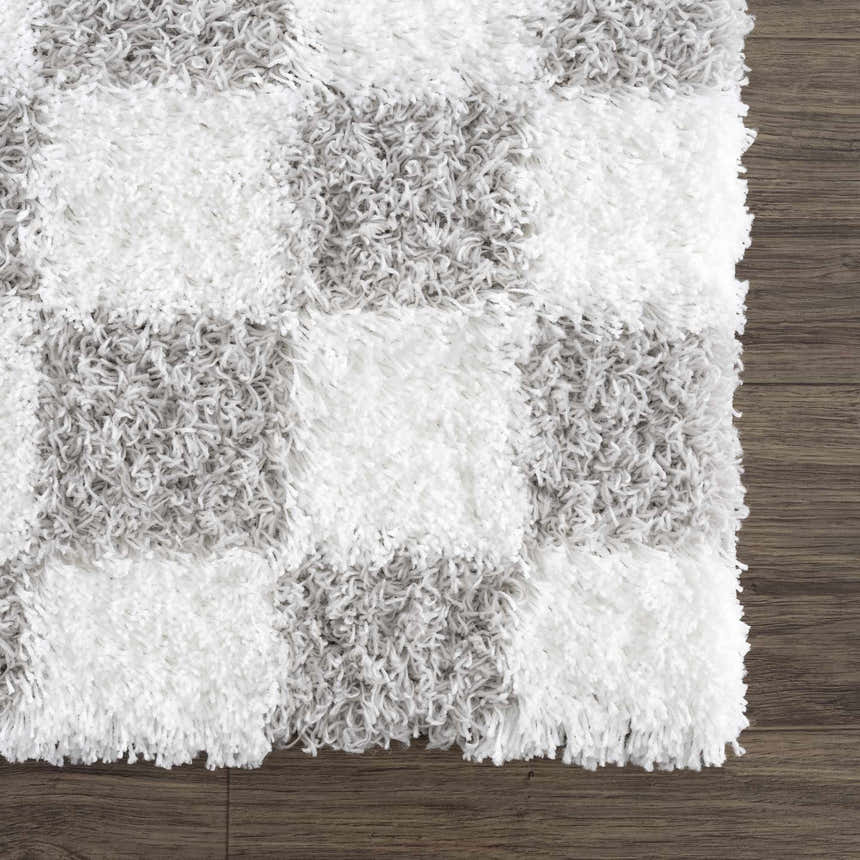 Sample Atira Gray Checkered Area Rug
