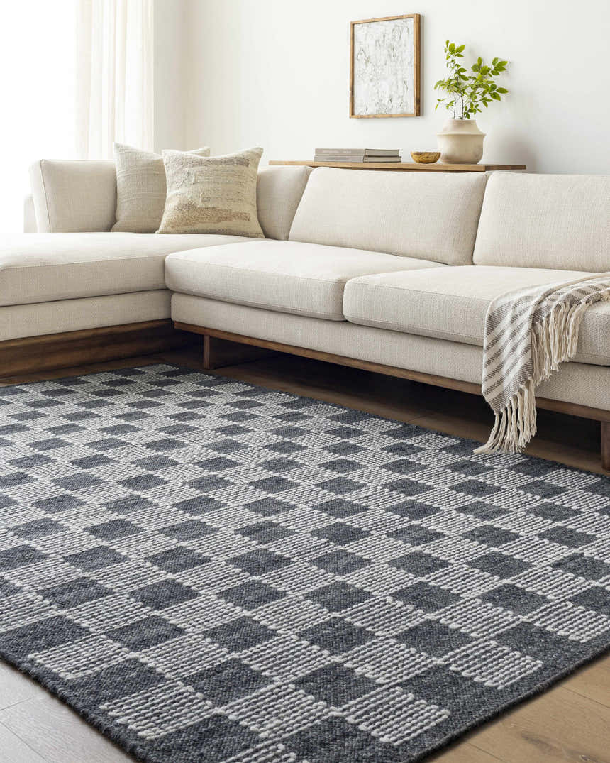 Sample Thijs Area Rug - Clearance