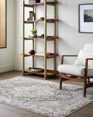Living room scene with cream Avelyn Area Rug, wood bookshelf, chair, and hardwood floors. Farmhouse style. Roomscene-Rectangle